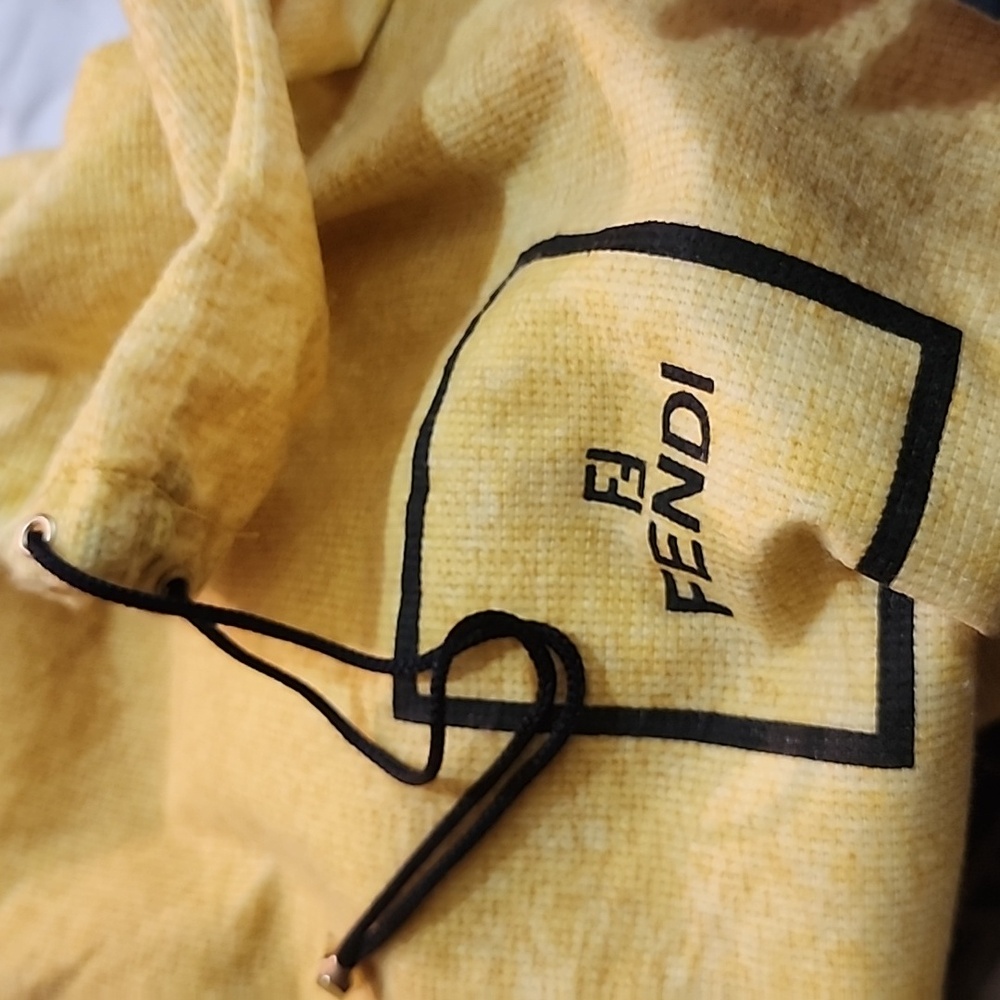 Fendi Train Case - Picture 13 of 13